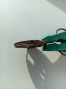 IMG_20180501_081419.jpg