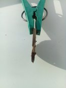 IMG_20180501_081345.jpg