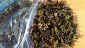 Звездочки СССР на пилотку 100 штук. полевые