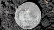 2018501121050.jpg