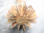 dG6v0BL48e4.jpg