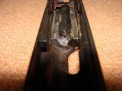 DSC07798.JPG