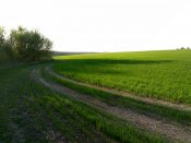 IMG_20180429_182406_HDR~01.jpg