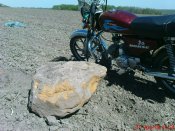 DSC00004.JPG