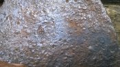 WP_20180501_13_42_51_Pro.jpg
