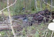 user13167_pic4169_1232677760.jpg