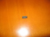 IMG_2037.jpg