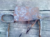 DSC00667.jpg