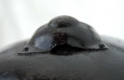 DSC_0202.JPG