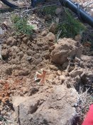 20180503_140837.jpg