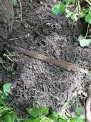 20180503_112558.jpg