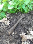 20180503_155224.jpg