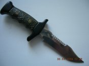 DSCN4331.JPG