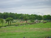 DSC00751.jpg