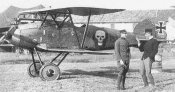 Albatros D.III.jpg