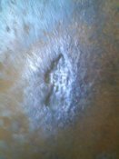 IMG0469A.jpg