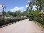 IMG_20180505_154347.jpg