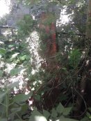 2018-05-04 14.17.37.jpg