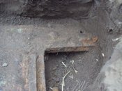 DSC01155.jpg