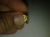 14052012312.jpg