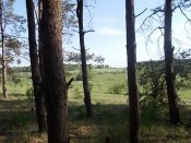 DSCN0340.JPG