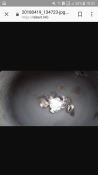 Screenshot_20180506-185254.png