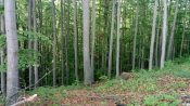 IMG_20180506_092159.jpg