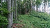 IMG_20180506_092206.jpg