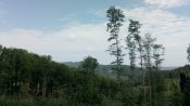 IMG_20180506_092341.jpg