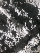 20180506_072724.jpg