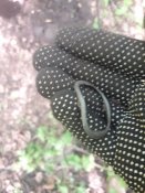 20180506_072830.jpg