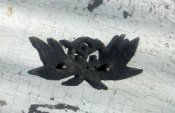 20180506_143242.jpg