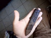 IMG_20180507_083107.jpg