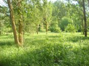 DSCN3124.jpg