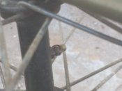 IMG_20180504_175111.jpg