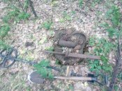 IMG_20180508_141738.jpg