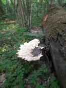 20180506_070305.jpg