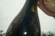 DSC08335.JPG