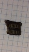 20180509_223019.jpg
