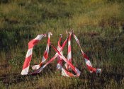 DSC_0596.jpg