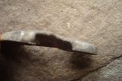 DSC08456.JPG