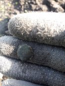 20180508_071603.jpg