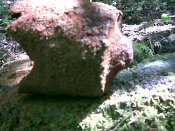 (006).jpg
