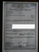 P1010002 - копия.jpg