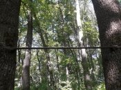 20180510_103652.jpg
