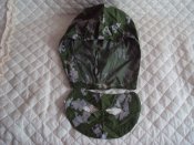 DSC07204.JPG