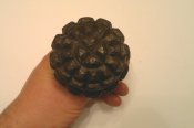 2012-05-16-415.jpg