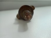 DSCN5005.JPG