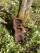 2012-05-14-050.jpg