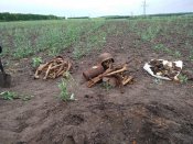Бойцы с одной ямки Братско и Градское 12 мая 2018г.jpg